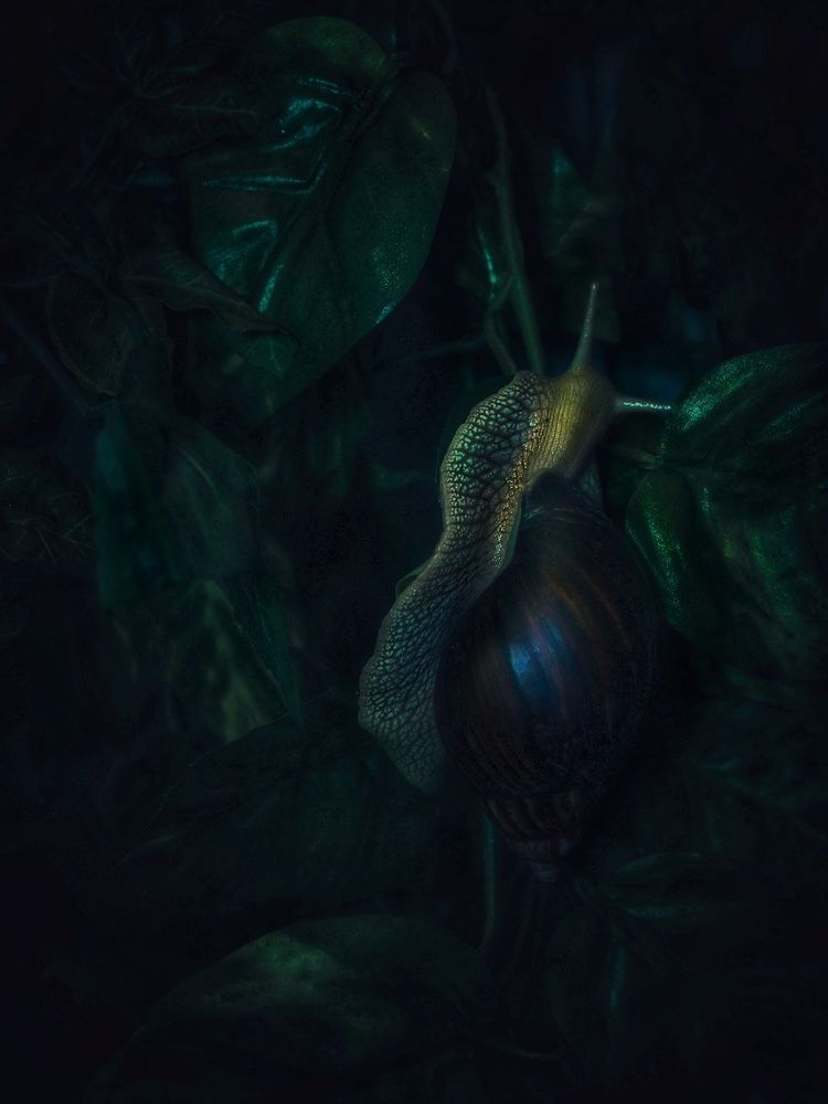 Photograph by Евгения Калугина