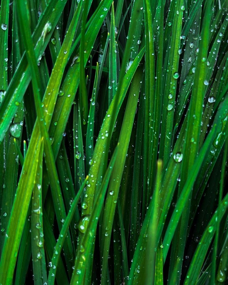 Фотография автора Katia Buiko