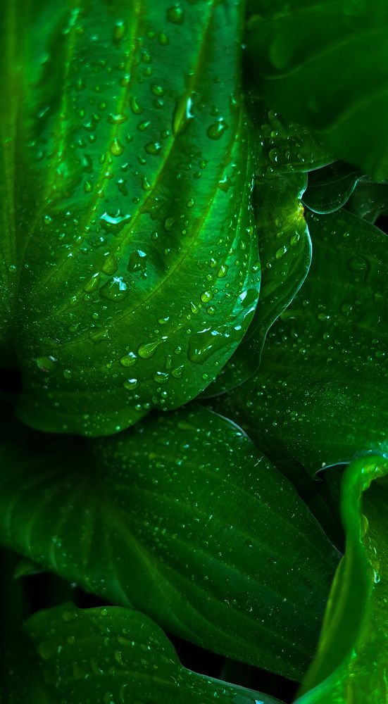 Фотография автора Katia Buiko