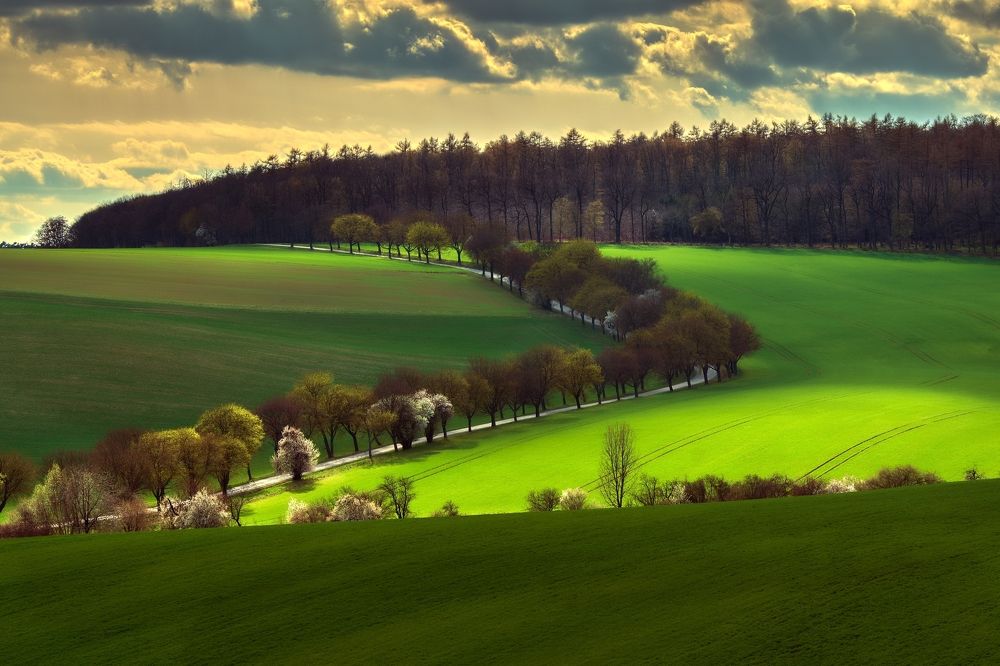 Photograph by Milan Uhrin