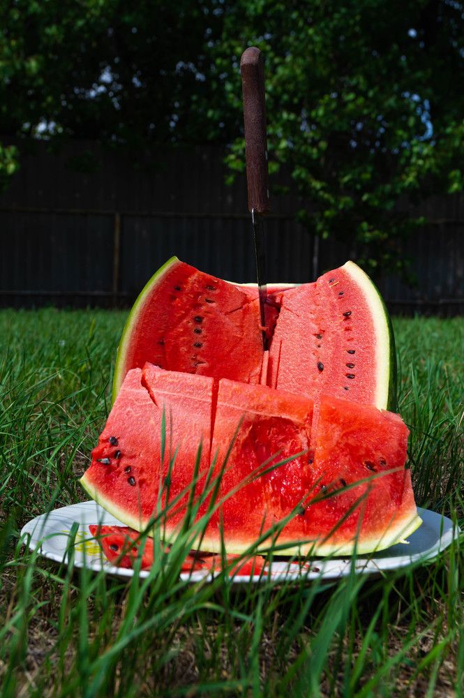 Photograph by Vlad Proshin