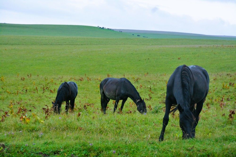 Photograph by Дмитрий Шумский