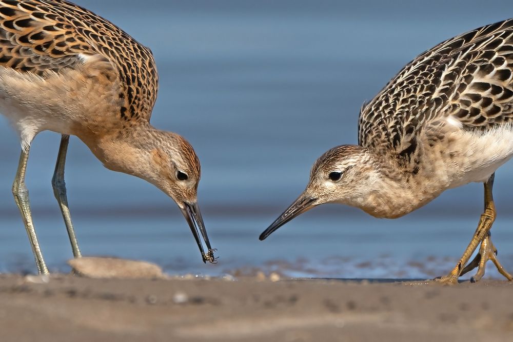 Photograph by Viktor Makarov