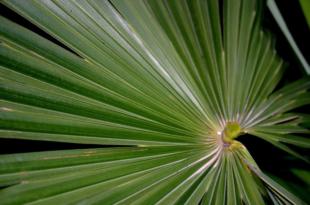 Photograph by Алексей Амилющенко