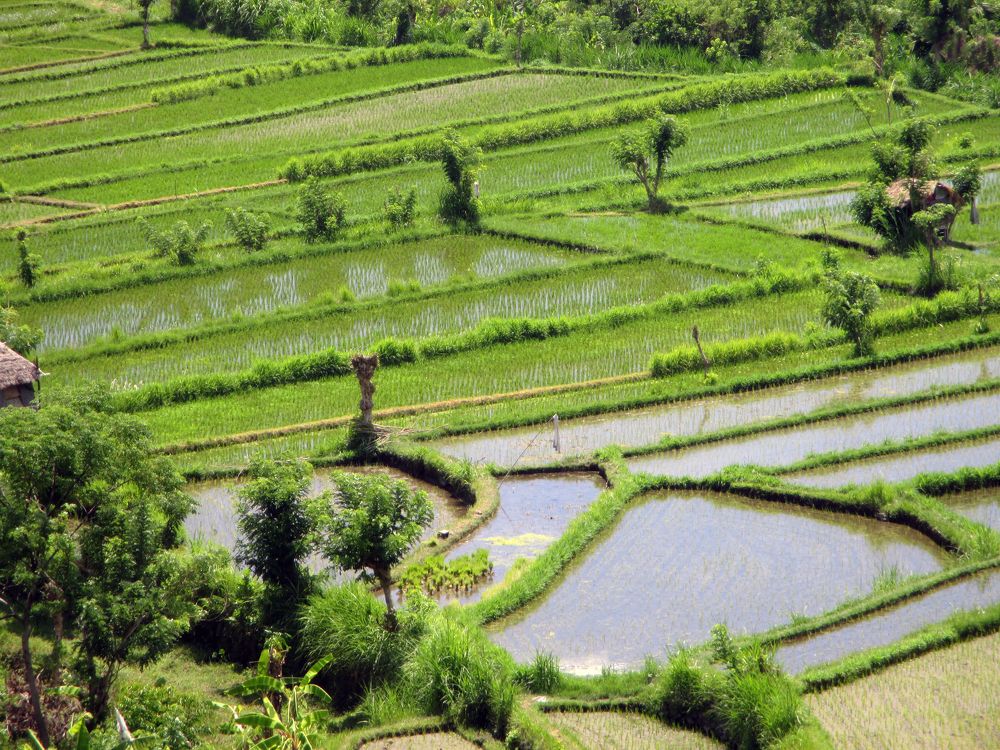 Photograph by Алексей Амилющенко