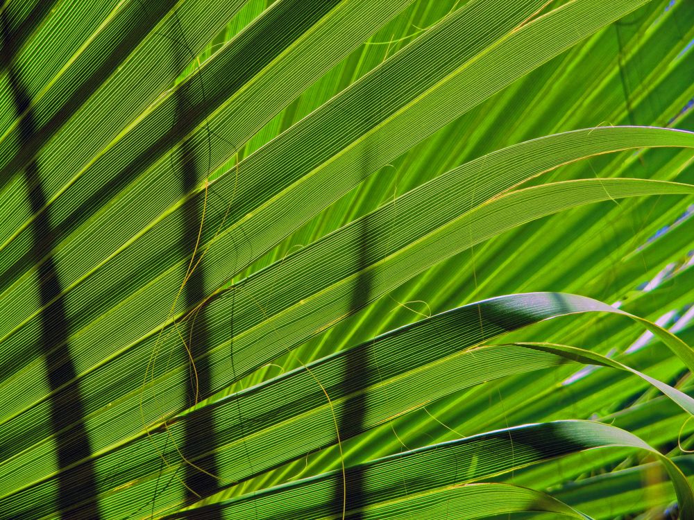 Photograph by Алексей Амилющенко