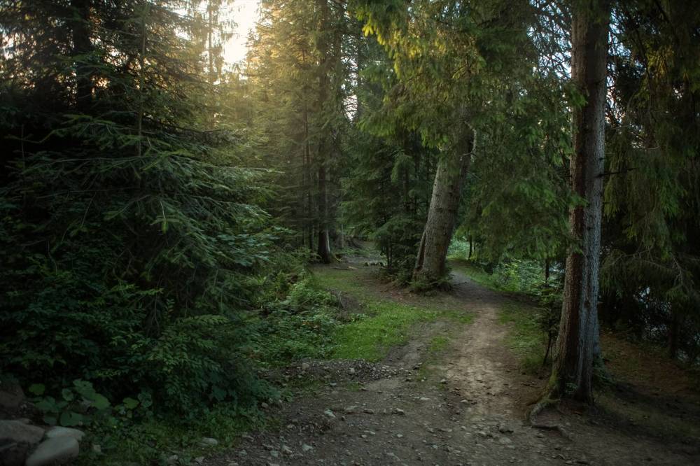 Photograph by Сергей Евневич