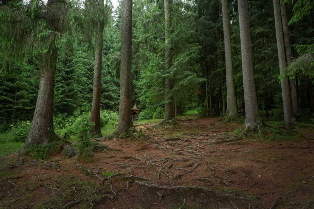 Photograph by Сергей Евневич