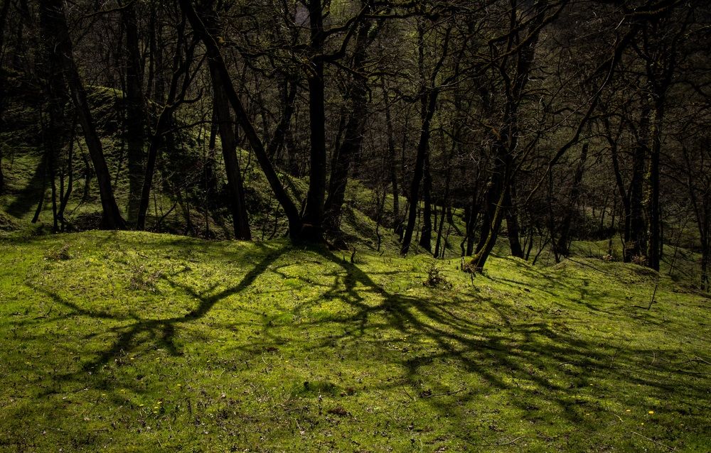 Photograph by Mostafa Mortazavi