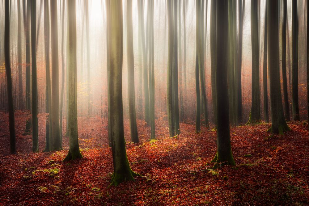 Photograph by Katarzyna Bochniak