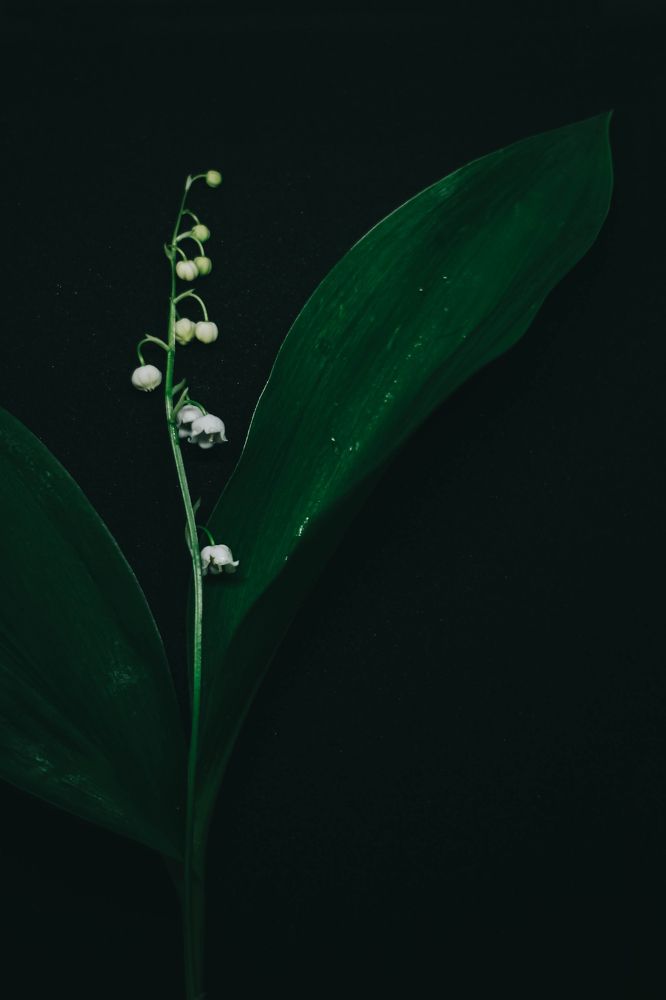 Photograph by Евгений Белов