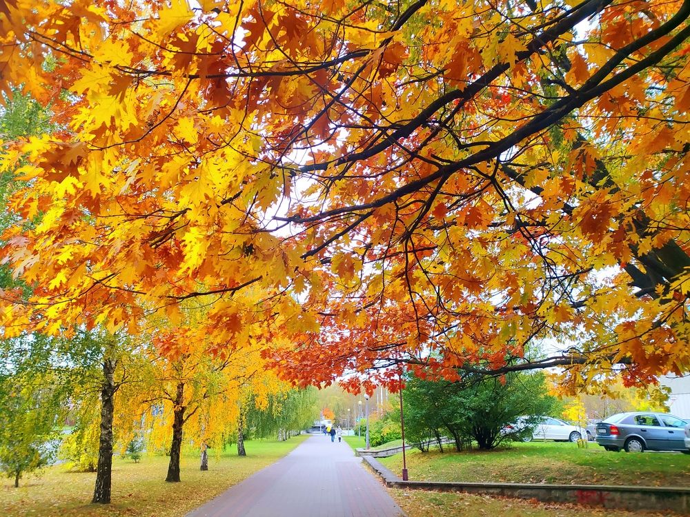 Photograph by Ирина Половцева