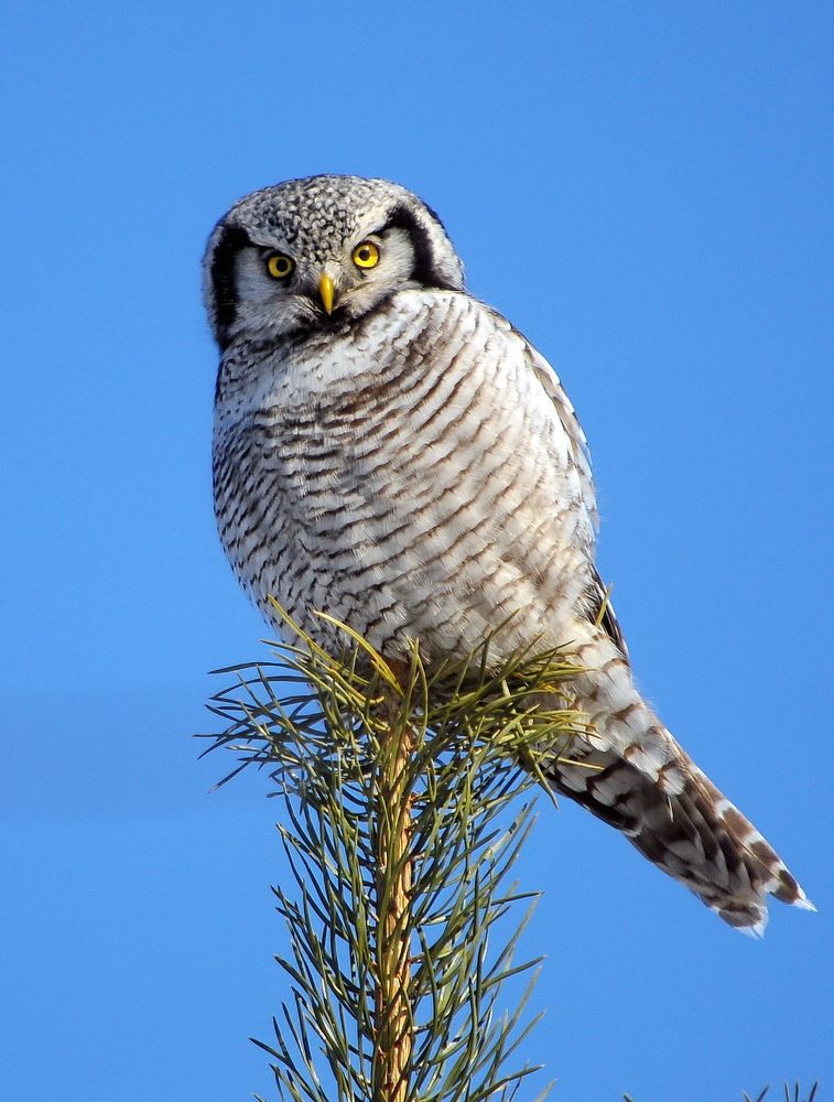 Photograph by Алексей Шехонин