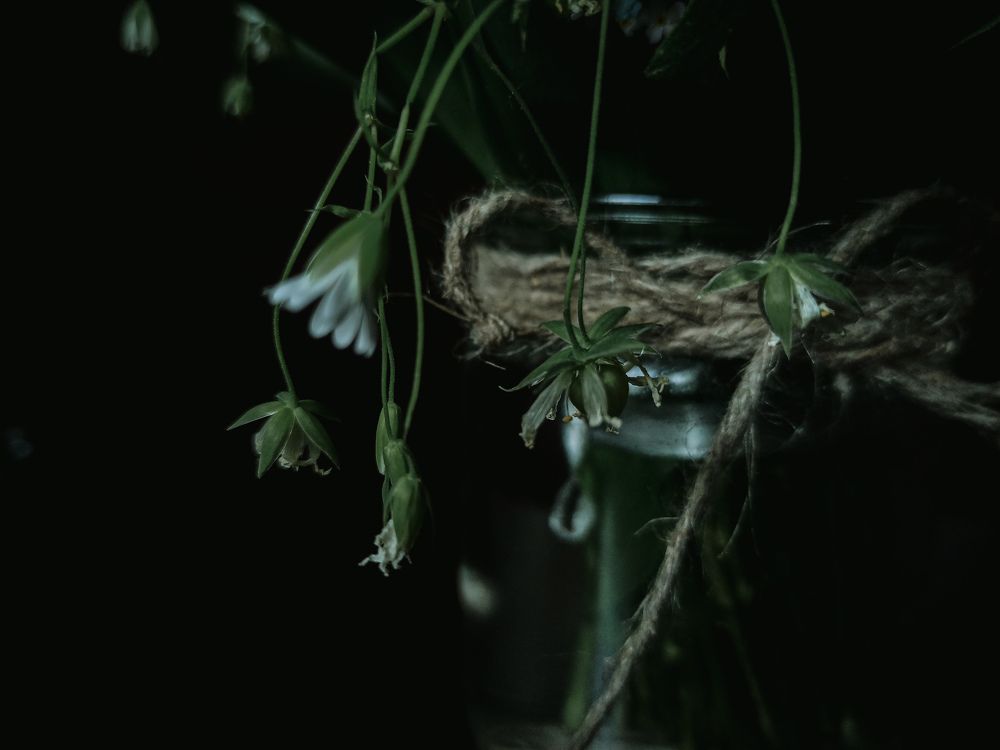 Фотография автора Ксения Вабищевич