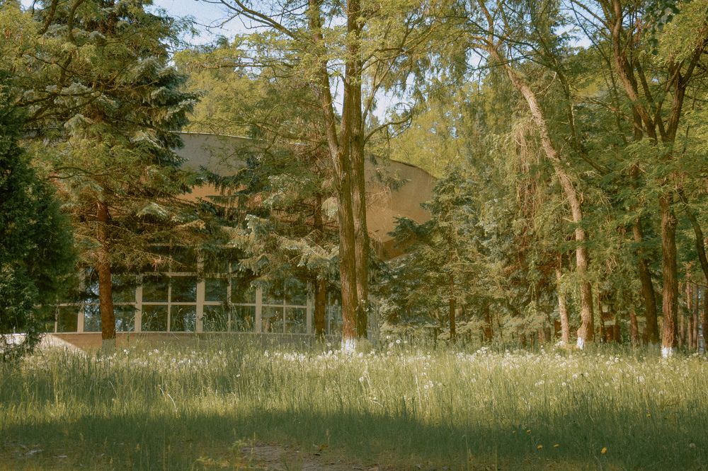 Фотография автора Ксения Вабищевич