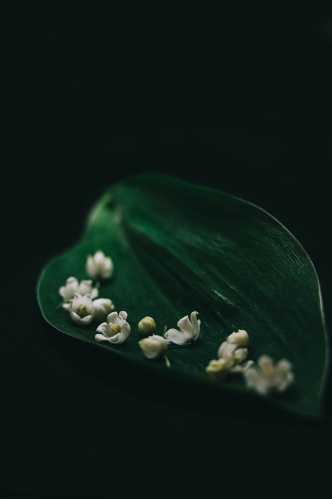 Photograph by Евгений Белов