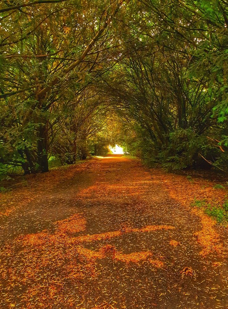 Photograph by Амир Афаунов