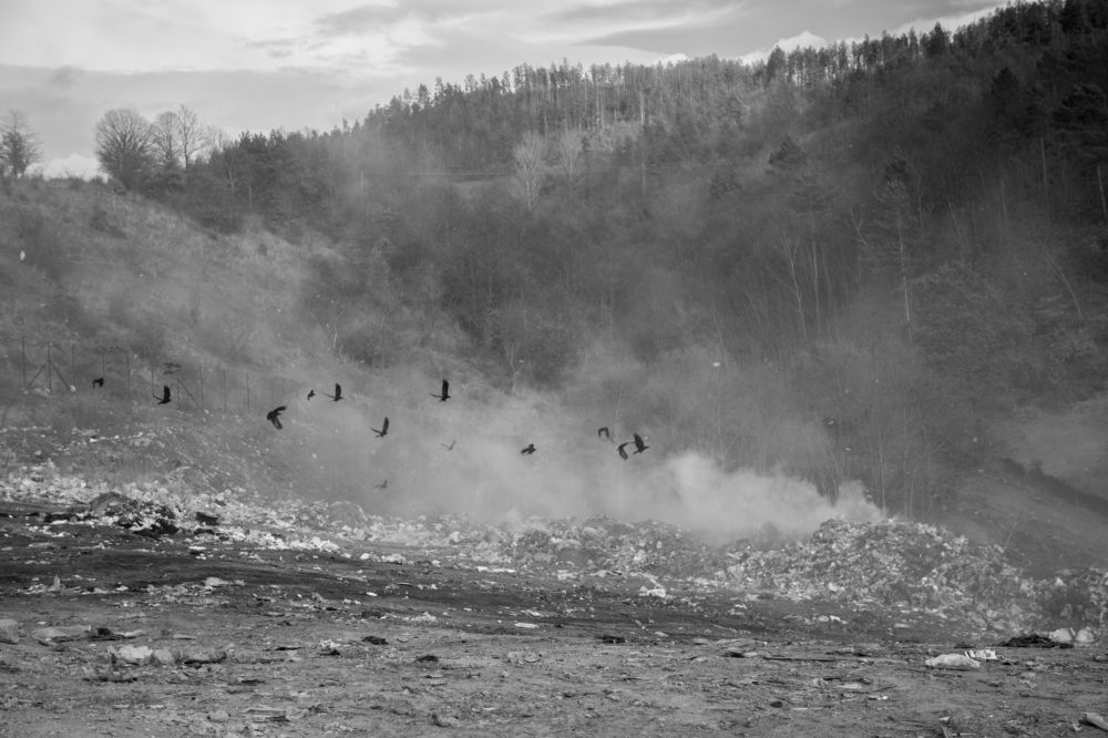 Photograph by  Dimitar