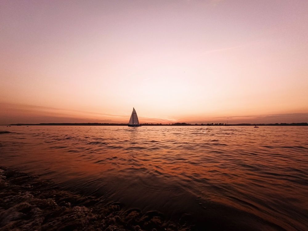 Photograph by Elena Bogomolova