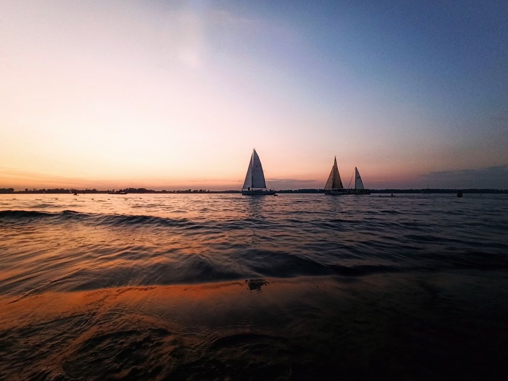 Photograph by Elena Bogomolova