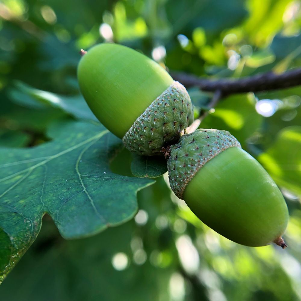 Photograph by Мария Королькова