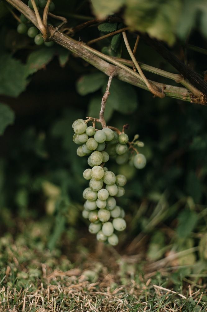 Photograph by Оксана Печкурова