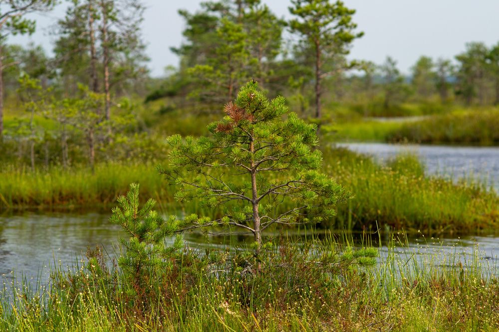 Photograph by Андрей