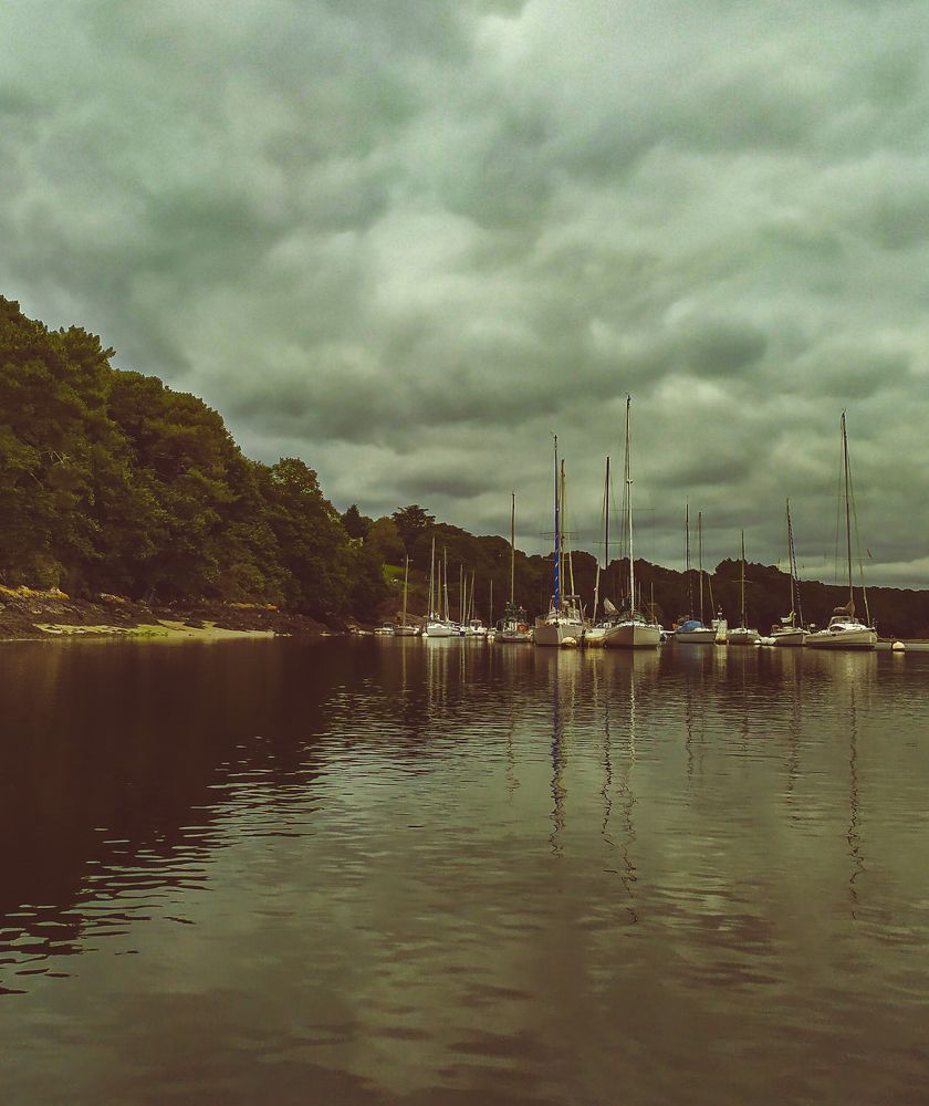 Фотография автора Elena Martynova-Rybczynski