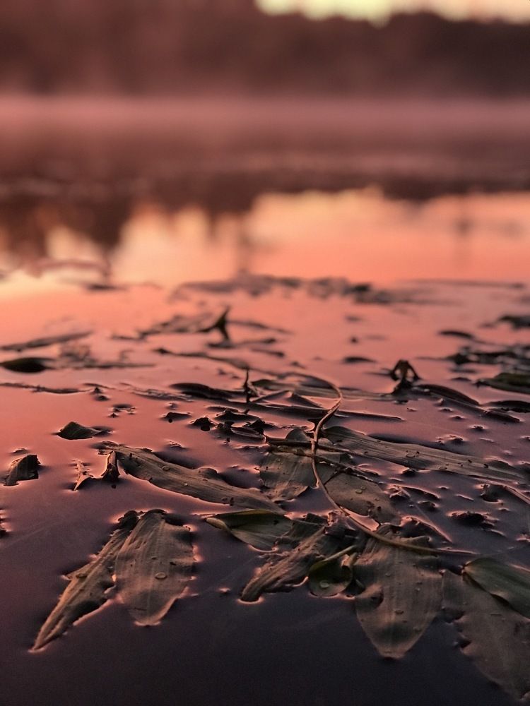 Photograph by Юлия