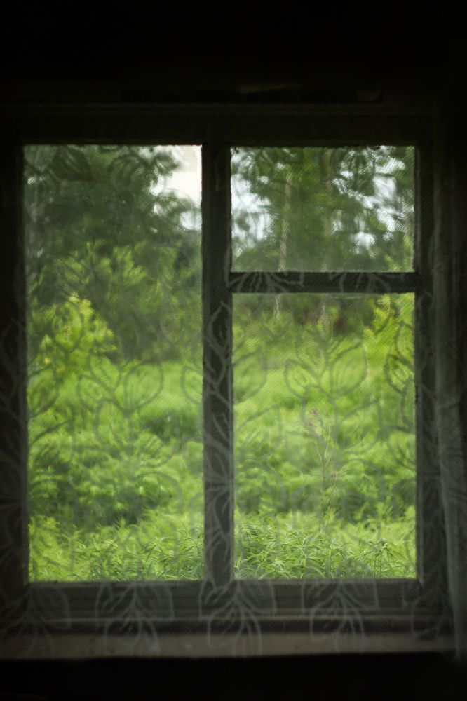 Photograph by Елена Квасова