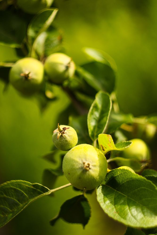 Photograph by Елена Квасова