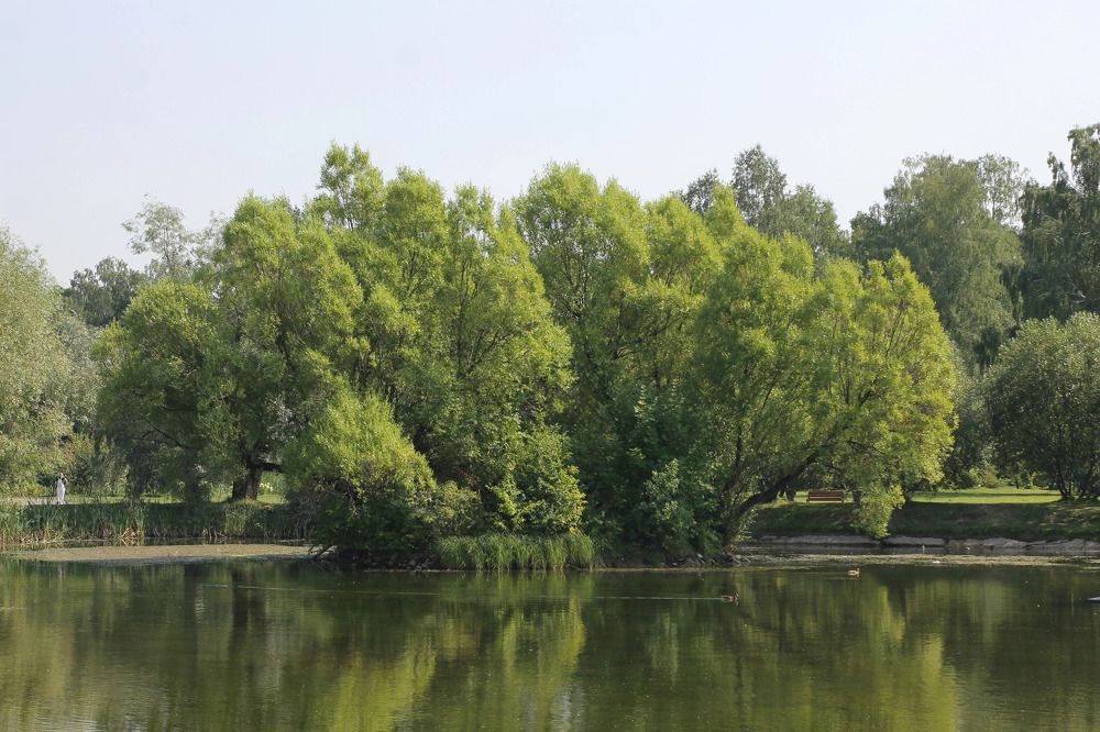 Photograph by Елена