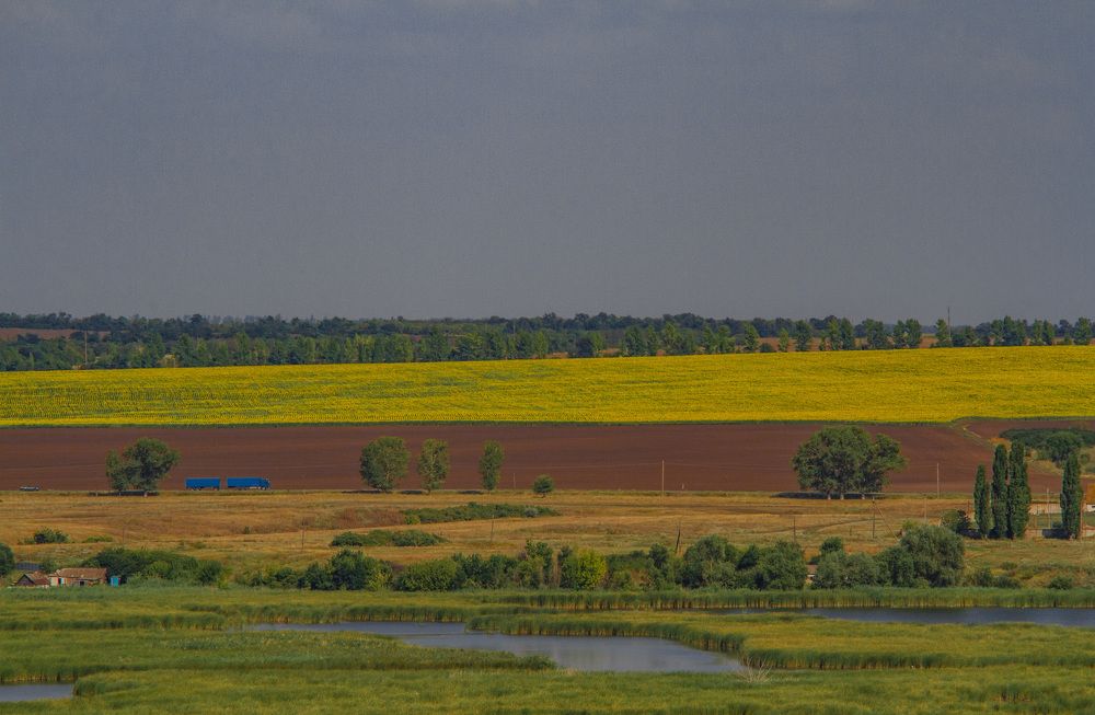 Photograph by M. Steklov