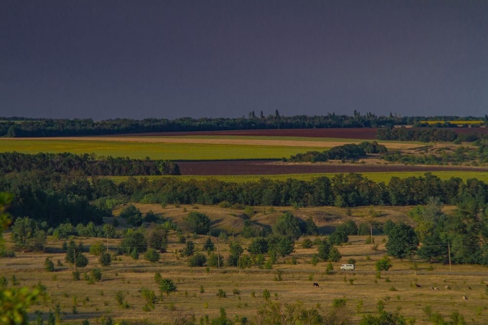 Photograph by M. Steklov