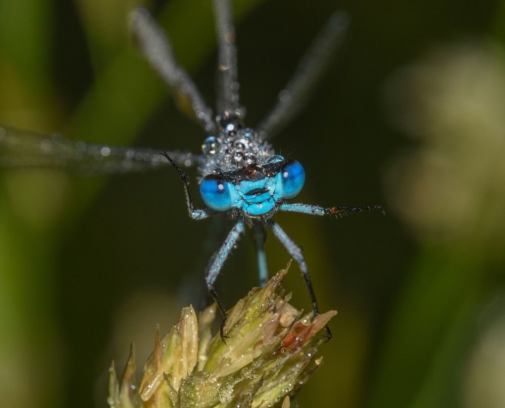 Photograph by Овечкин Павел