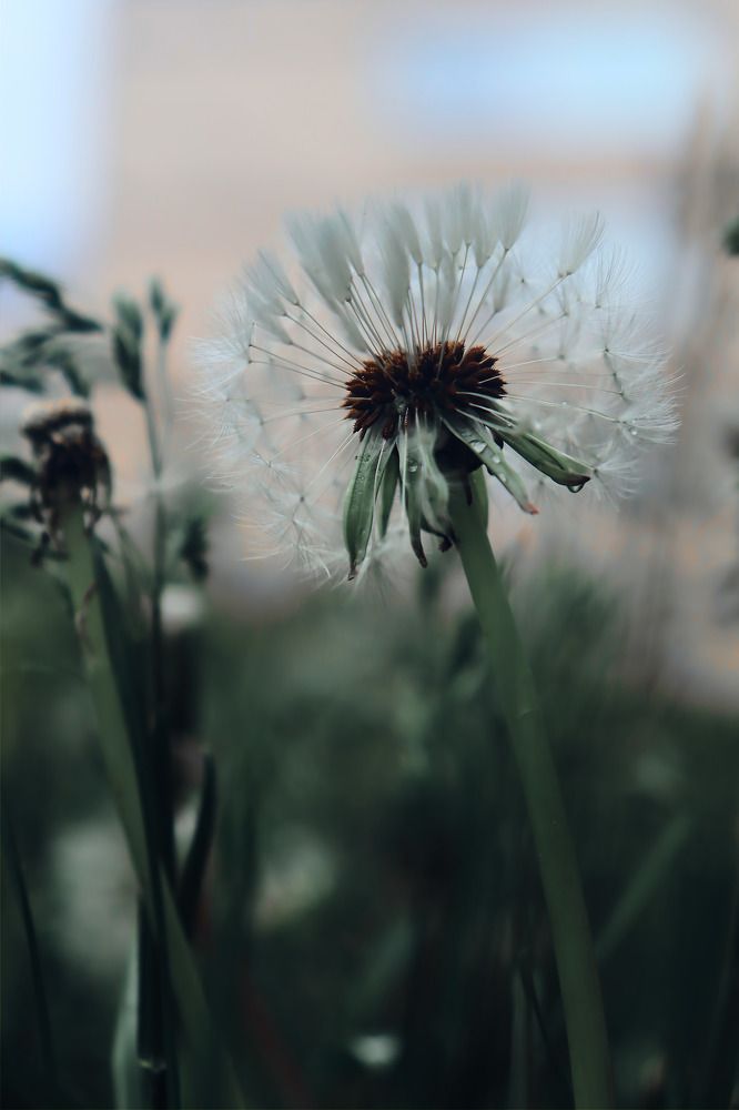 Photograph by Арина Горшенкова