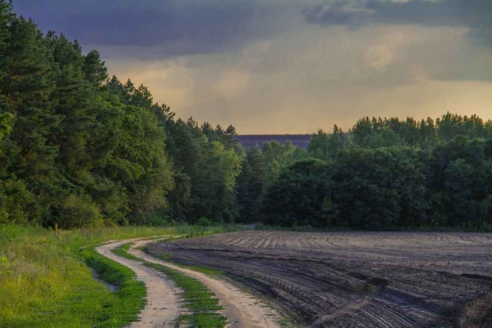 Photograph by M. Steklov
