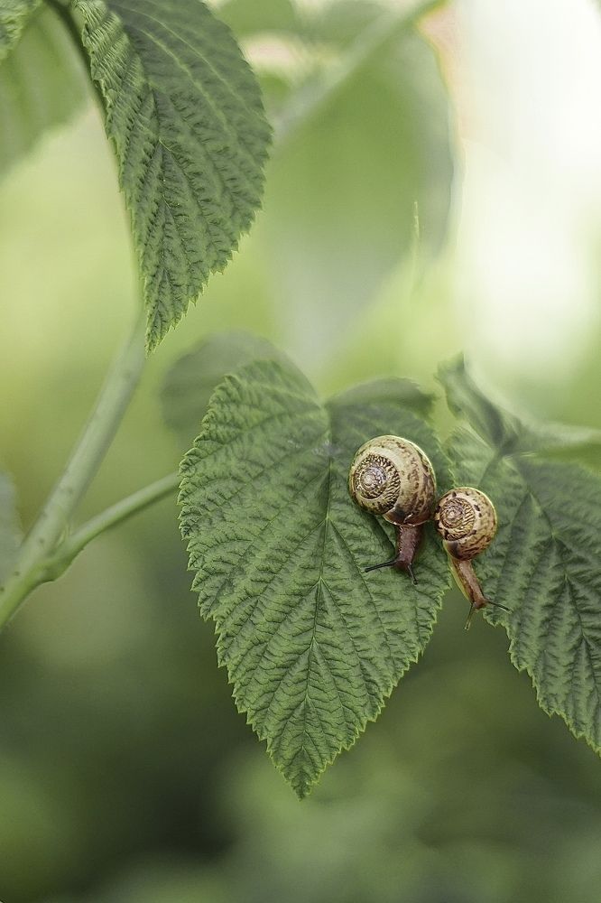 Photograph by Наталья