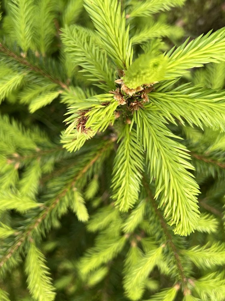 Фотография автора Марина Матьянова