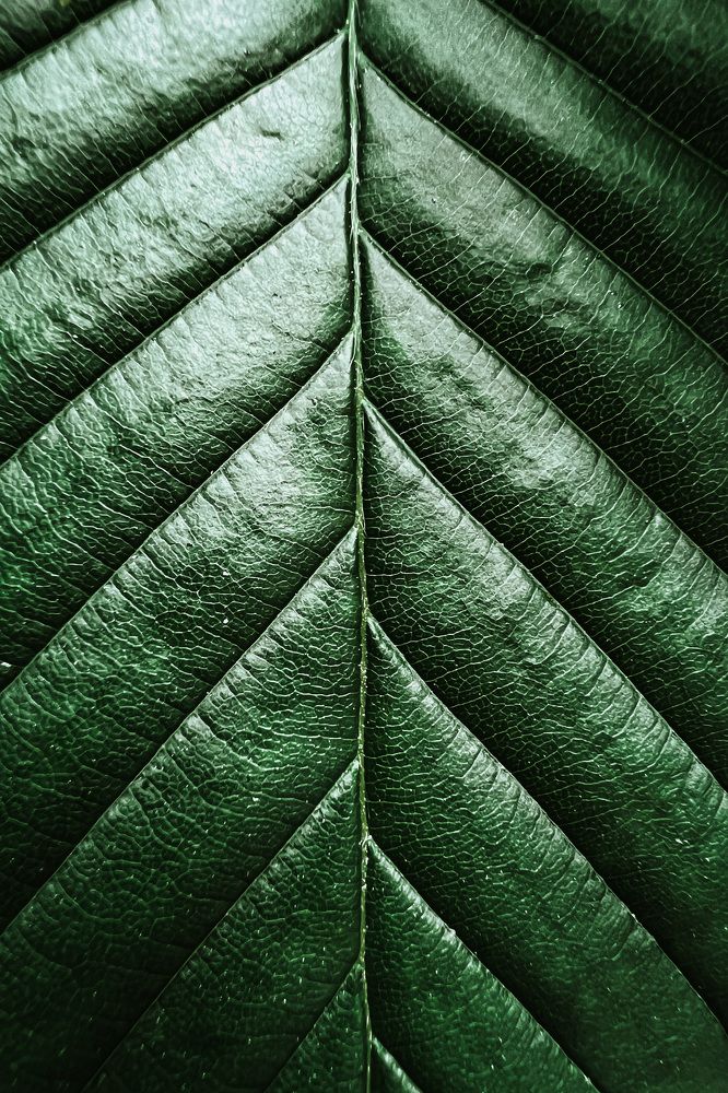 Фотография автора Марина Матьянова