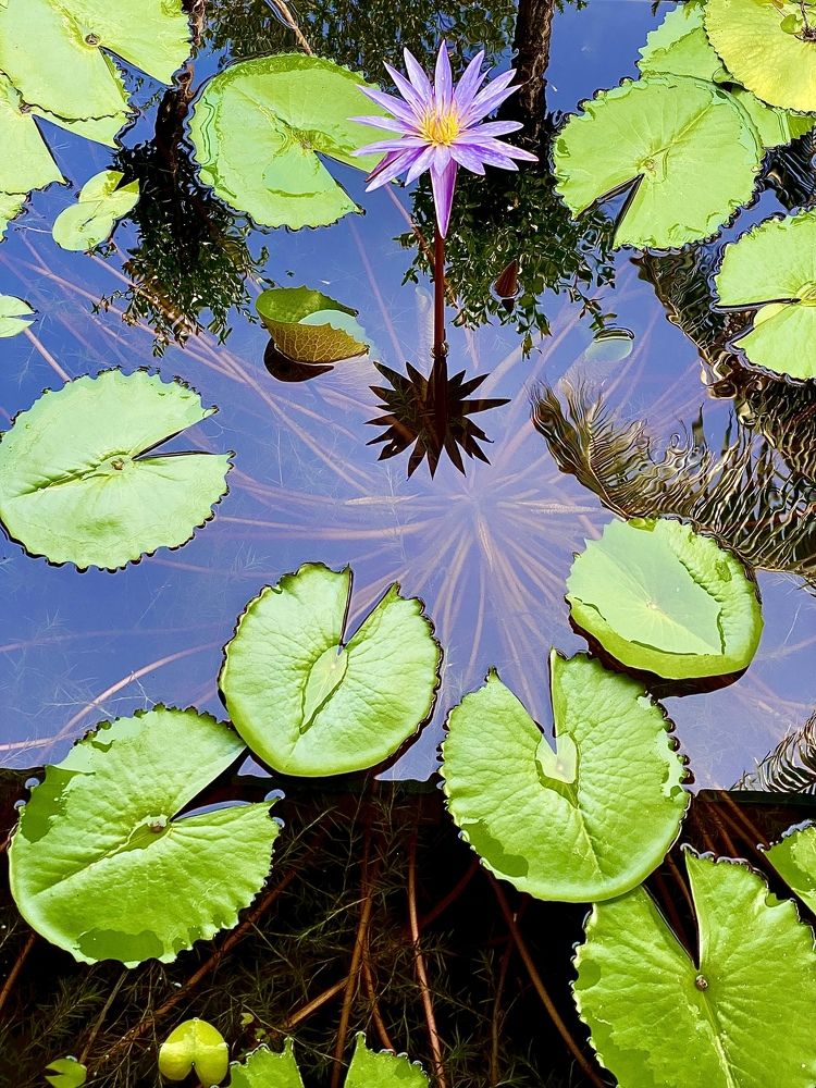 Photograph by Евгения Казакова