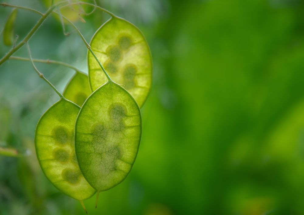 Photograph by LYUDMYLA POKRYSHEN