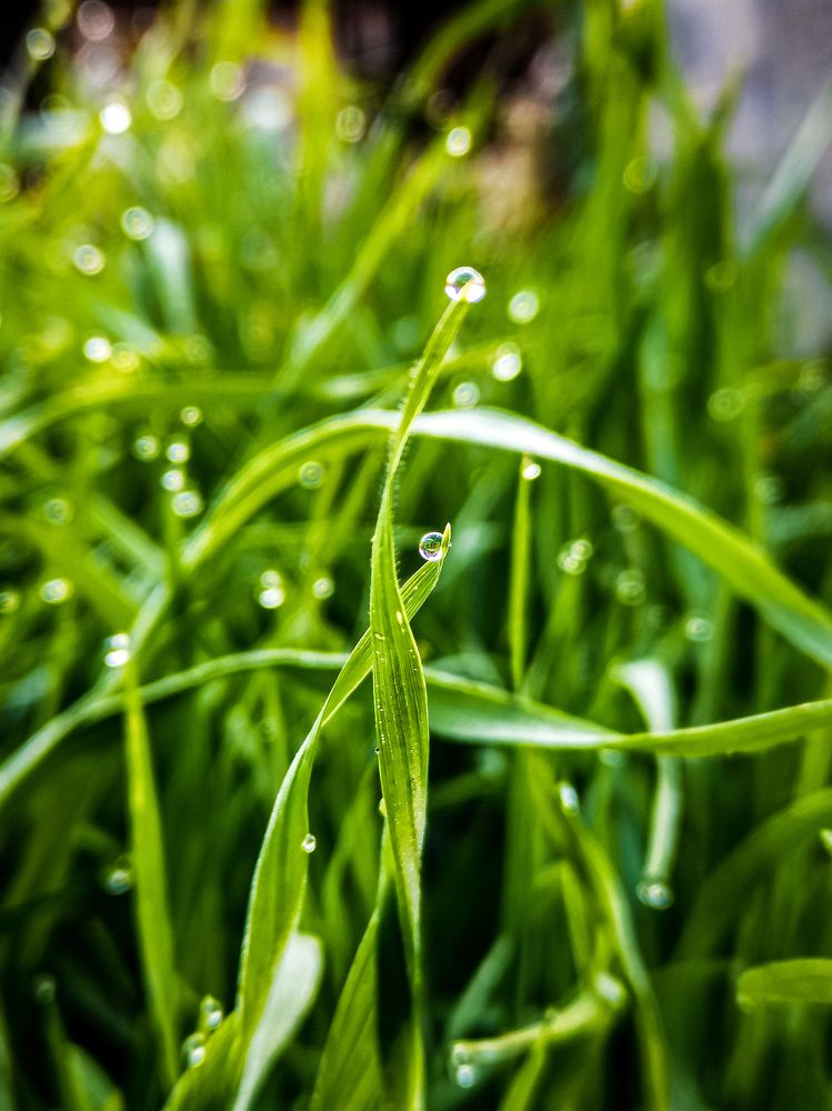 Photograph by Алёна Красова