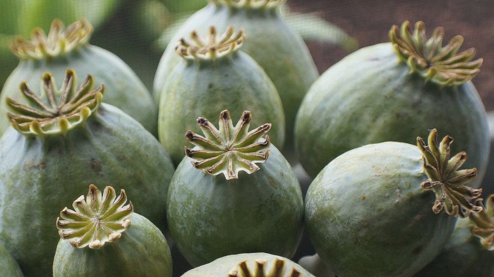 Photograph by Emil Zivanov