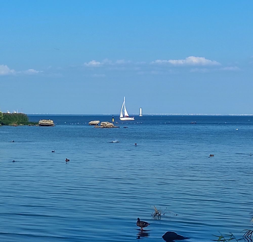 Фотография автора Марина Гусева