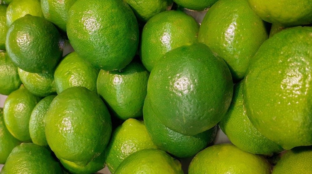 Photograph by Emil Zivanov