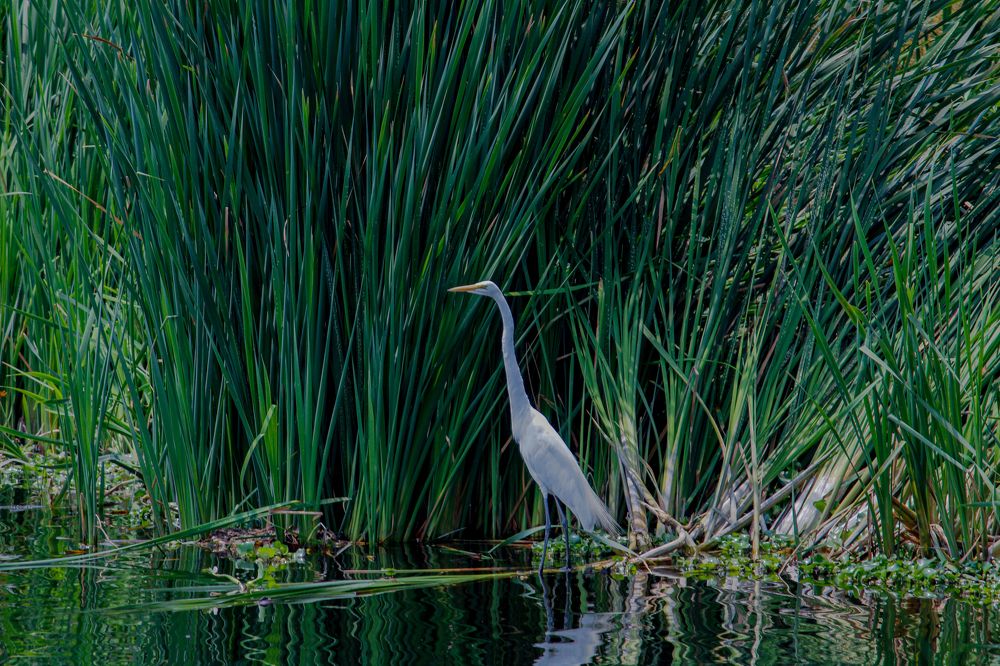 Фотография автора Raúl Emiliano Bazet Najera