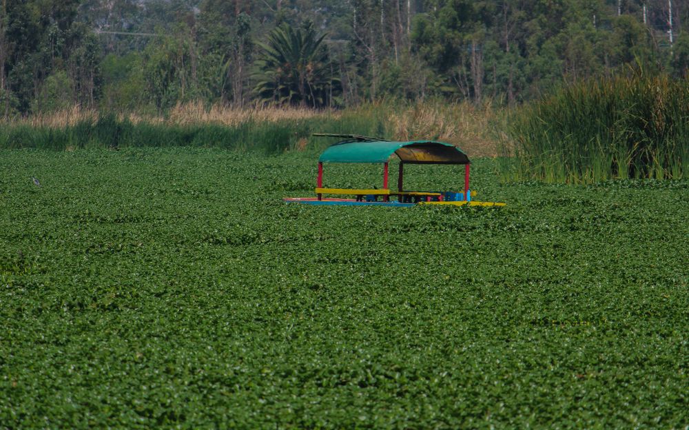 Фотография автора Raúl Emiliano Bazet Najera