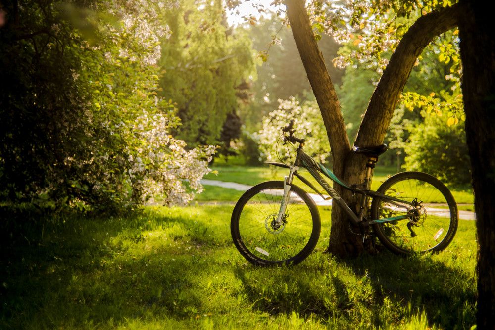 Photograph by Наталья Лещинская