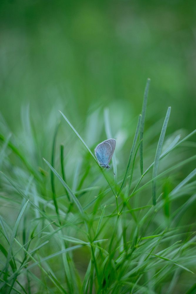 Photograph by Наталья Лещинская